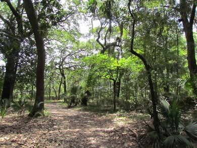 Wooded Lot