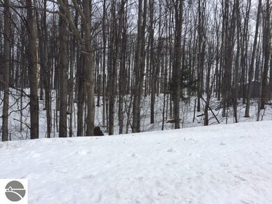 7424 E Meadows Dr unit 32, Cedar, MI 49621 - photo 5