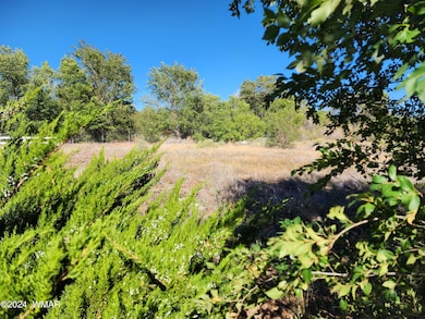 0 W 19th St S, Snowflake, AZ 85937 - photo 3