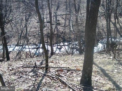 0 Stumpy Ln unit PAFL2031674, Fort Loudon, PA 17224 - photo 2