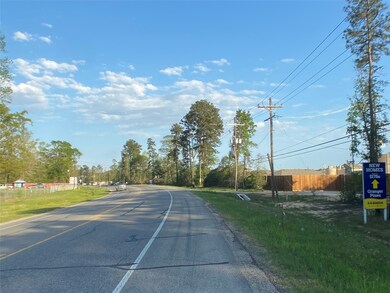 16888 E West Ln, Conroe, TX 77306 - photo 2