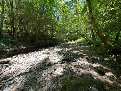 #3 Pickett Creek June 2023
