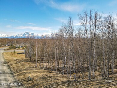 Lot Photos-4