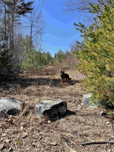 945 Route 16, Ossipee, NH 03864 - photo 6