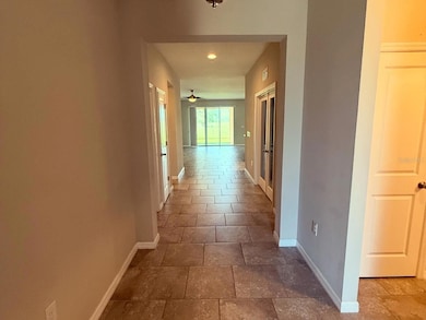 14823 Trinity Fall Way, Bradenton, FL 34212 - photo 3