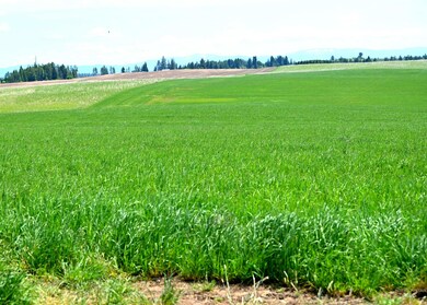 TBD Stuart Rd, Orofino, ID 83544 - photo 5