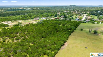 10.131 acres Hawk Ln, Kempner, TX 76539 - photo 7