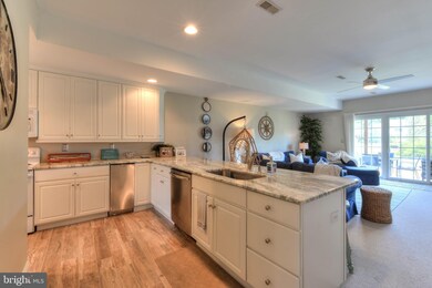 6 Wills Way unit 41, Rehoboth Beach, DE 19971 - photo 6