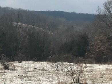 0 Russell Rd unit 196440, Brookville, IN 47012 - photo 5