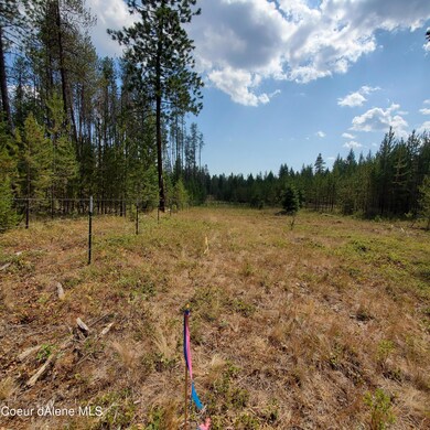 NNA Booker Rd, Athol, ID 83801 - photo 6