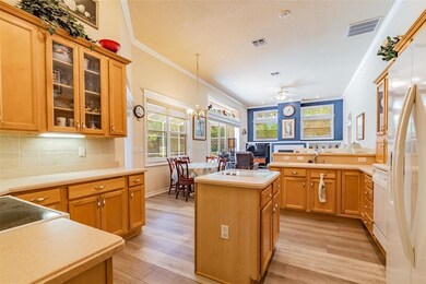 35841 Midden Path, Zephyrhills, FL 33541 - photo 3