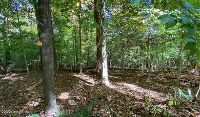 River View Fall165