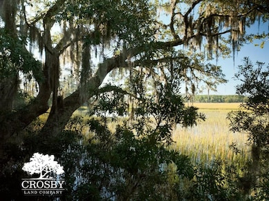 421 Powell Oak Dr, Ridgeland, SC 29936 - photo 6