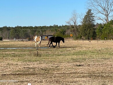 Horse Pastures