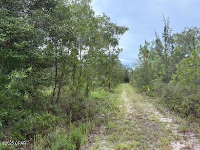 0 NW White Rd unit 781877, Altha, FL 32421 - photo 2