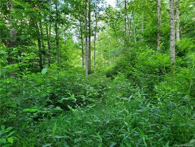 512 Langford Branch Rd, Cane River, NC 28714 - photo 6