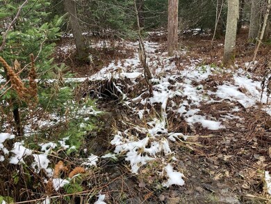 New York 8, Cold Brook, NY 13324 - photo 2