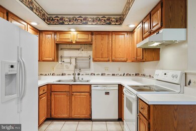 8075 Brightwood Ct, Ellicott City, MD 21043 - photo 3