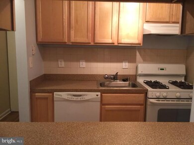 5821 Cove Landing Rd unit 303, Burke, VA 22015 - photo 5