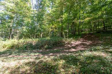 13.37 Acres - Rhymer Road, Damascus, VA
