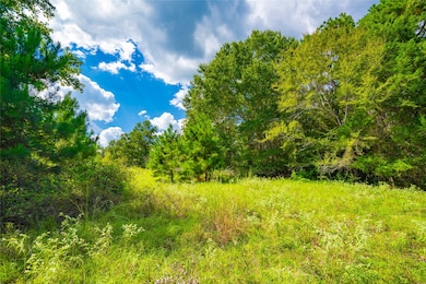 14799 Farm To Market 315, Palestine, TX 75803 - photo 2
