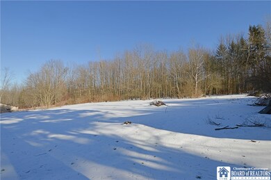 1.66 acres...back parcel is wooded