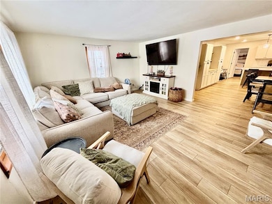 2333 S Pine St, Centralia, IL 62801 - photo 3