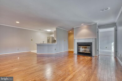 9 Tintern Ct unit 103, Lutherville Timonium, MD 21093 - photo 6