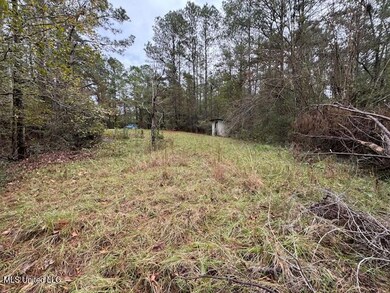 00 Coons Mill Rd, Centreville, MS 39631 - photo 4