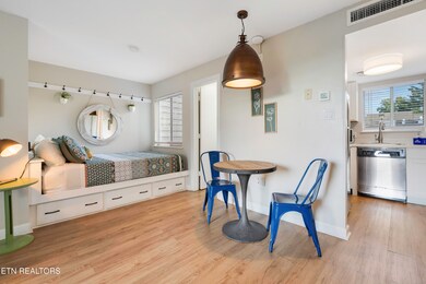 1260 Ski View Dr unit 4204, Gatlinburg, TN 37738 - photo 5