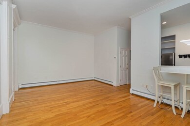 53 Rutland St unit 2, Boston, MA 02118 - photo 7
