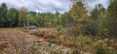 land 10