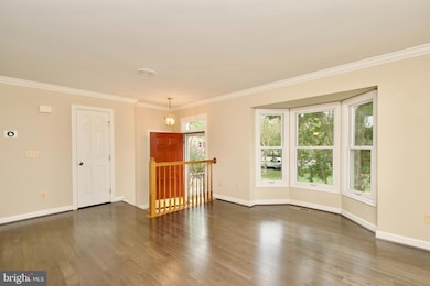 6211 Glenshire Row, Alexandria, VA 22315 - photo 7