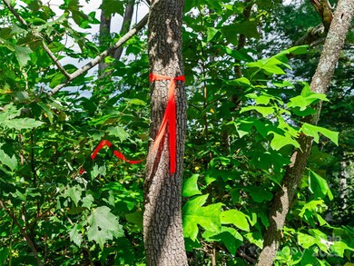 99999 Youngs Gap Rd unit South Lot, Hoopers Creek, NC 28732 - photo 3