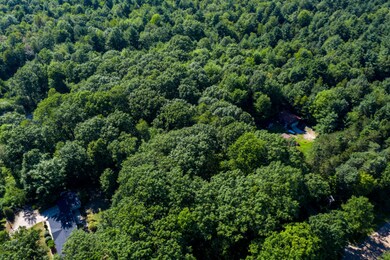 20200717-DJI_0330