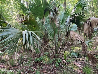 0220 Little Branch Tr, Interlachen, FL 32148 - photo 7