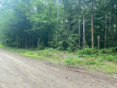 Lot 24