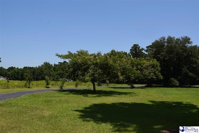 2617 Cale Yarborough Hwy, Timmonsville, SC 29161 - photo 5