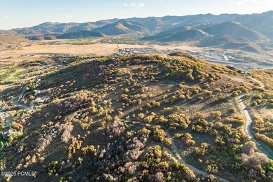 003_1655redhawk37_464