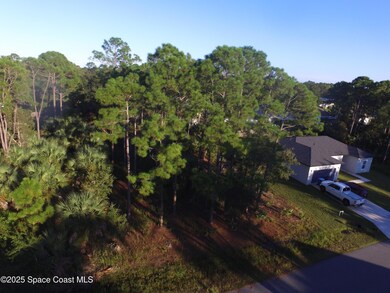 2925 Polaris Ave SE, Palm Bay, FL 32909 - photo 2