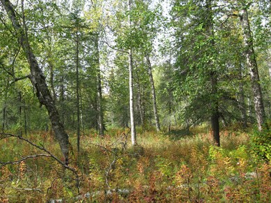 IMG_1500