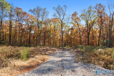 244 Brentwood Ln, Madison, AL 35758 - photo 5