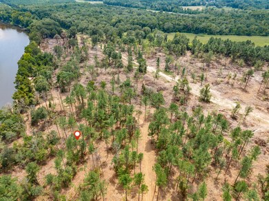 Leaf_River_Parcel_10-7