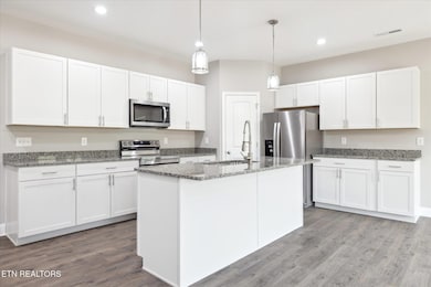 422 Mcguire Rd, New Market, TN 37820 - photo 4