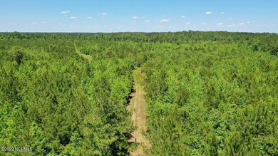 DJI_0310