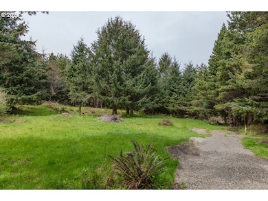 11119 Pacific Way, Long Beach, WA 98631 - photo 5