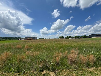 IMG_9636
