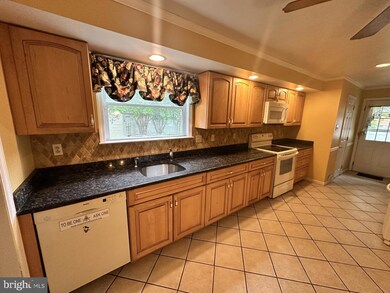 115 Elm Ave, Newark, DE 19711 - photo 5