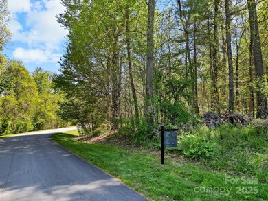 17 French Broad River Way unit 98, Asheville, NC 28804 - photo 2