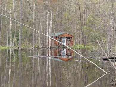 1320 County Route 49, Winthrop, NY 13697 - photo 7